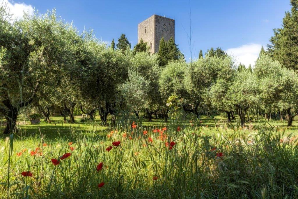 Torre Dei Belforti Montecatini Val di Cecina Exterior photo